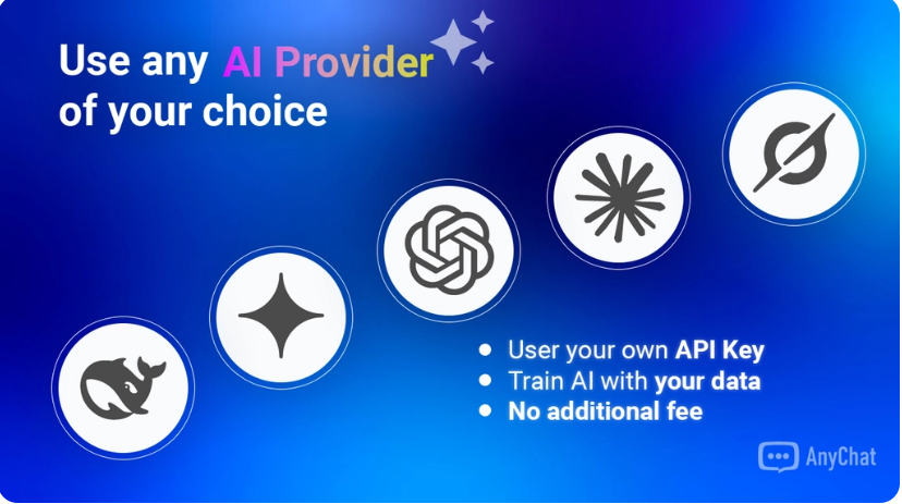 AnyChat Review