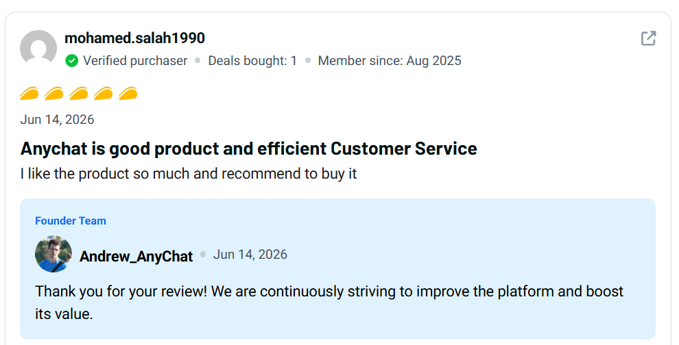 AnyChat Review